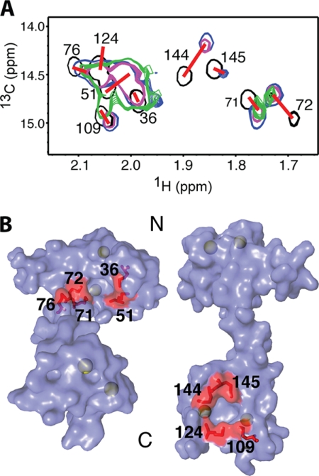 FIGURE 7.