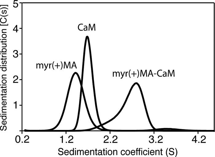 FIGURE 2.