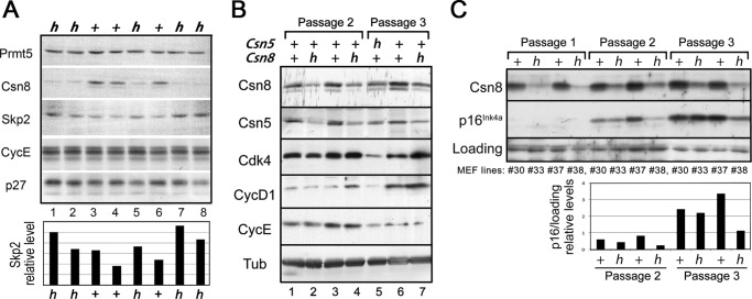 FIGURE 6.