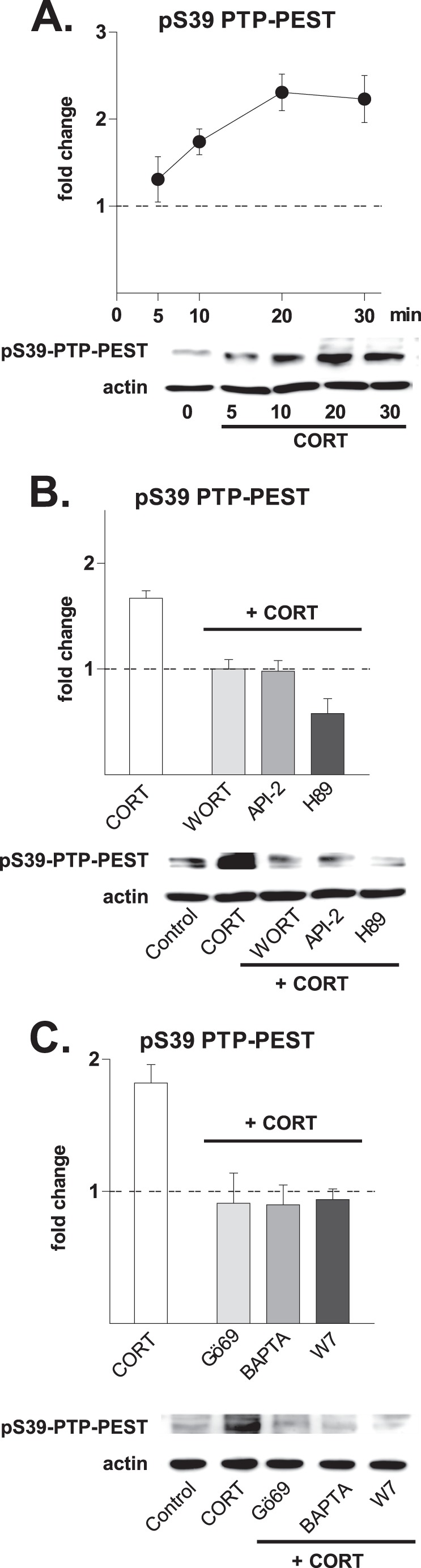 FIGURE 4.