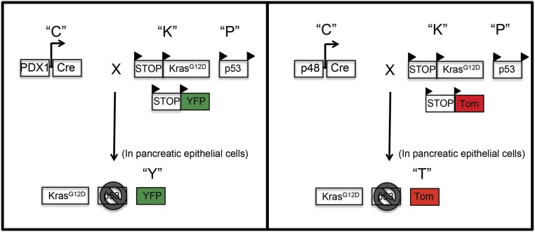 Fig. S1.