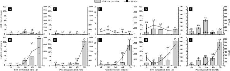 Fig 4