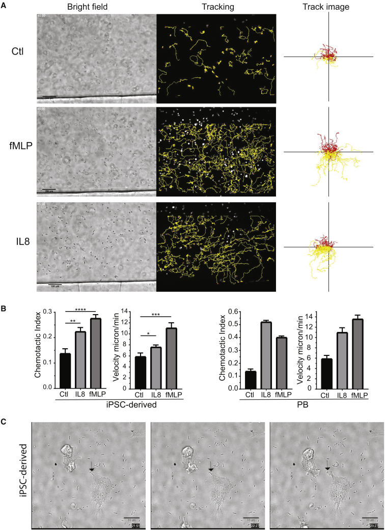 Figure 4