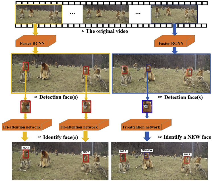 Figure 2