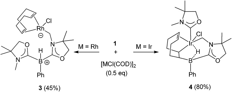 Scheme 2