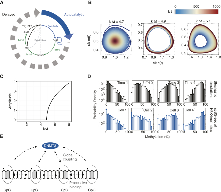 Figure 2