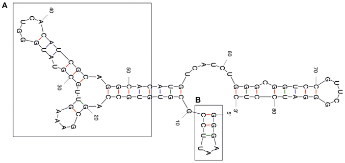 Figure 2.