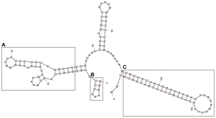 Figure 3.