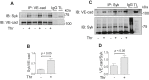 Figure 6