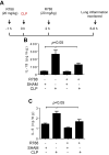 Figure 9
