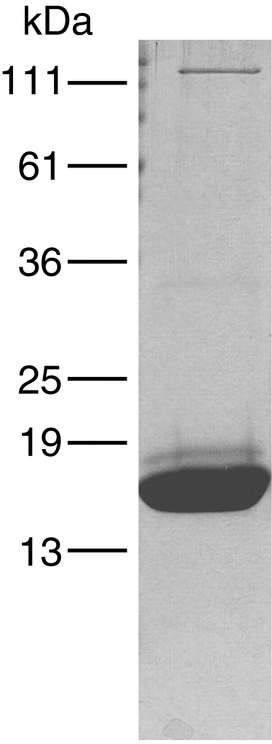 FIG. 7.