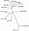 FIG. 5.