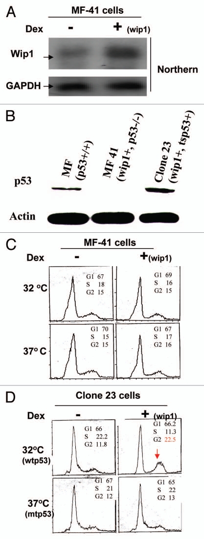 Figure 4