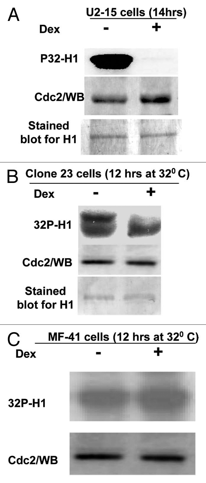 Figure 6