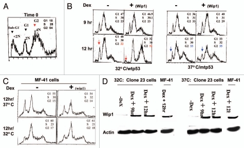 Figure 5