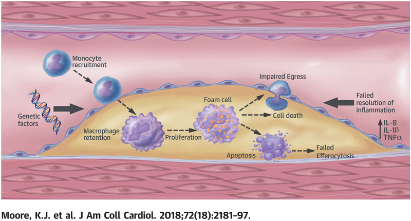 Central Illustration: