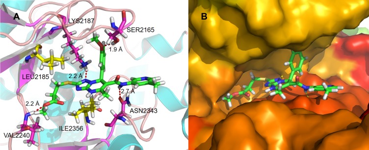 Figure 5