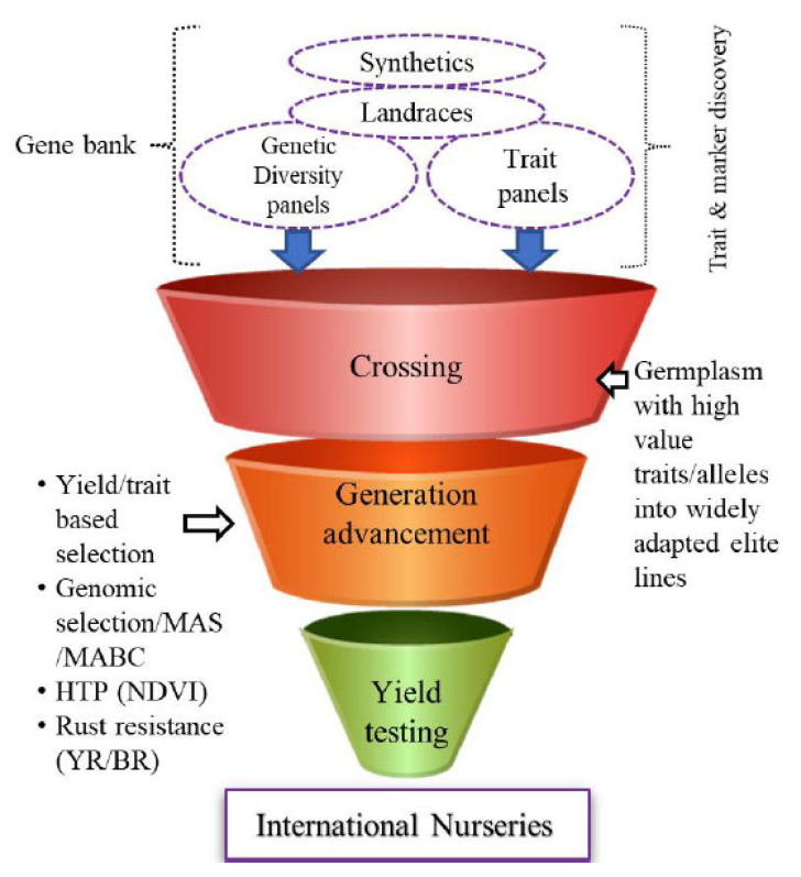 Fig. (3)