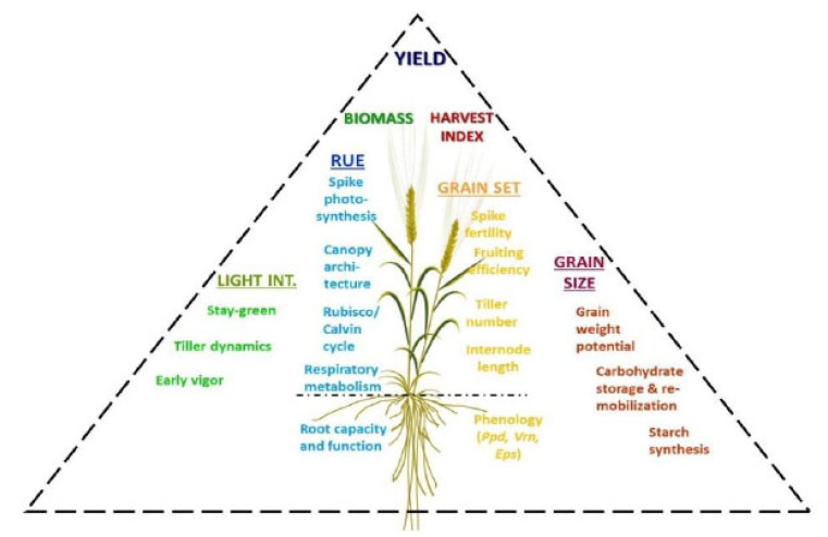 Fig. (2)