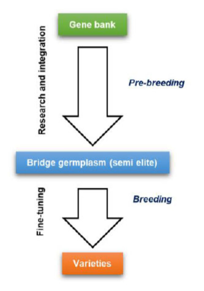 Fig. (1)