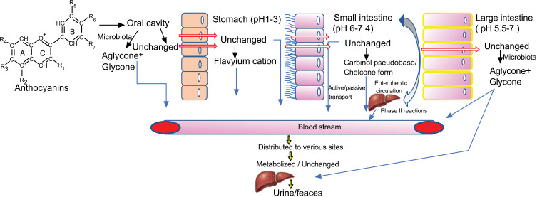 Fig. (1)