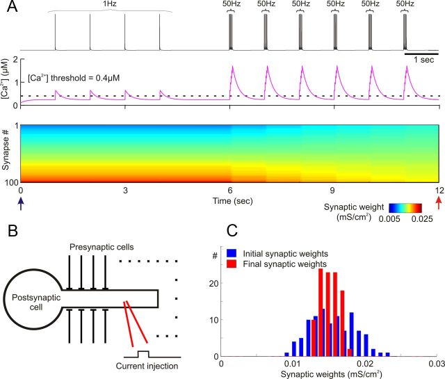 Figure 3.