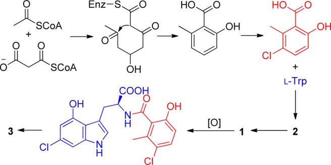 Figure 5