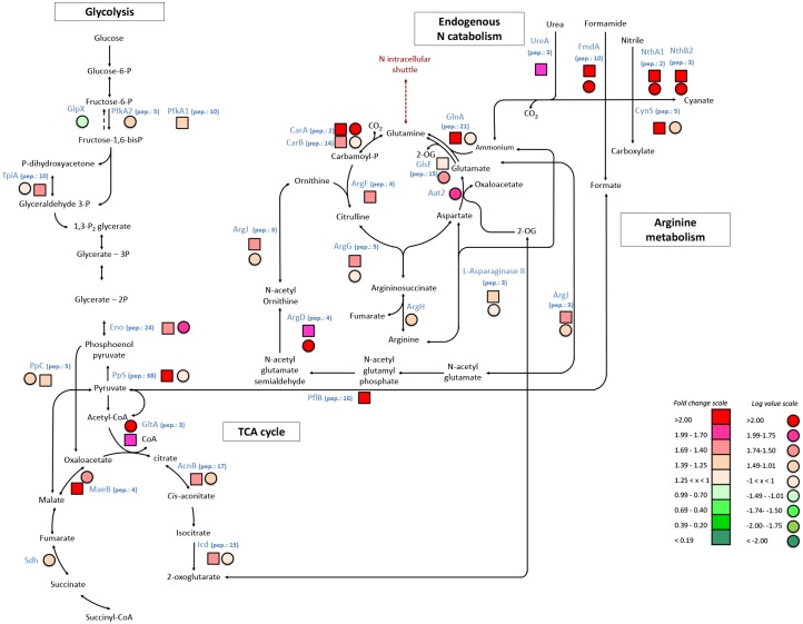 Fig 2