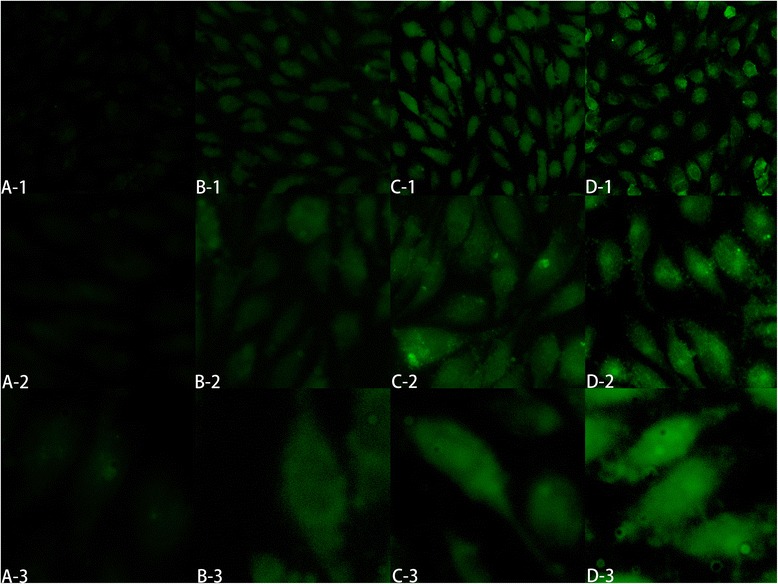 Fig. 10