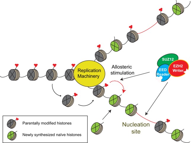 Figure 12.