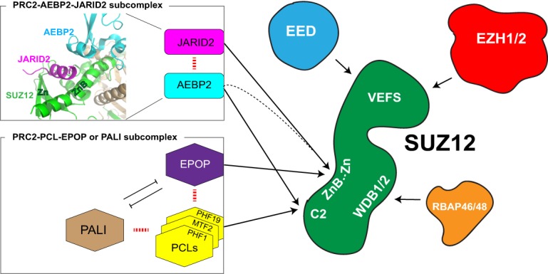 Figure 4.