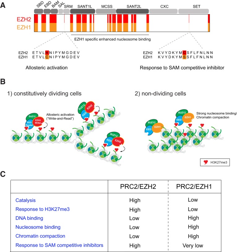 Figure 11.