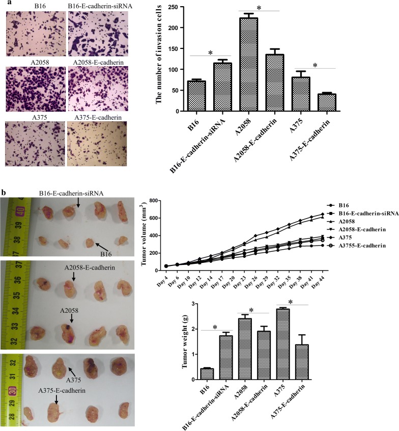 Fig. 6