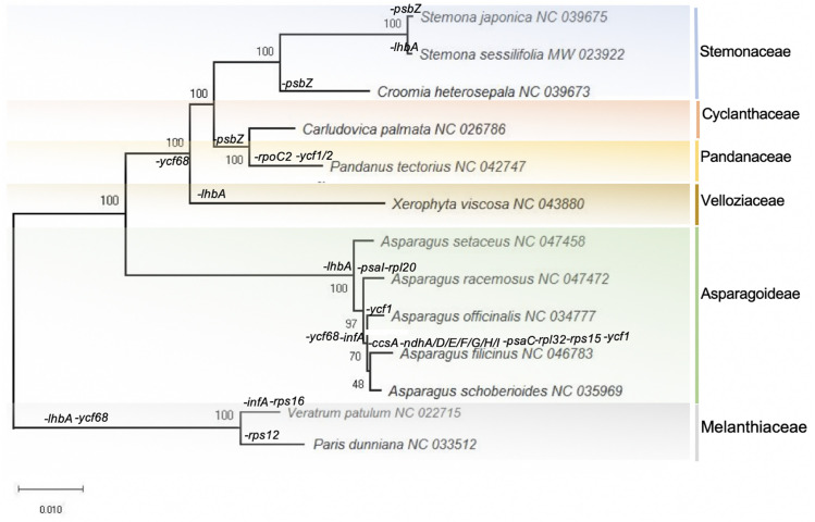 Fig 6