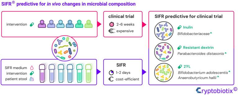 Graphical Abstract