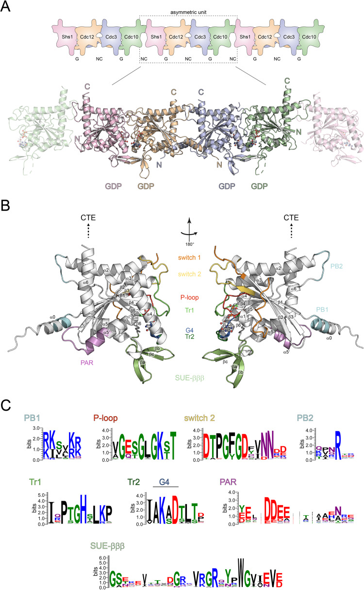 Fig. 1