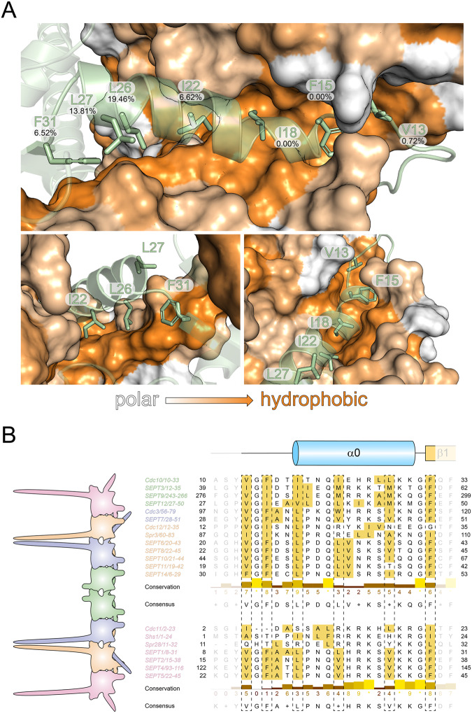 Fig. 6