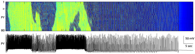 Fig. 8