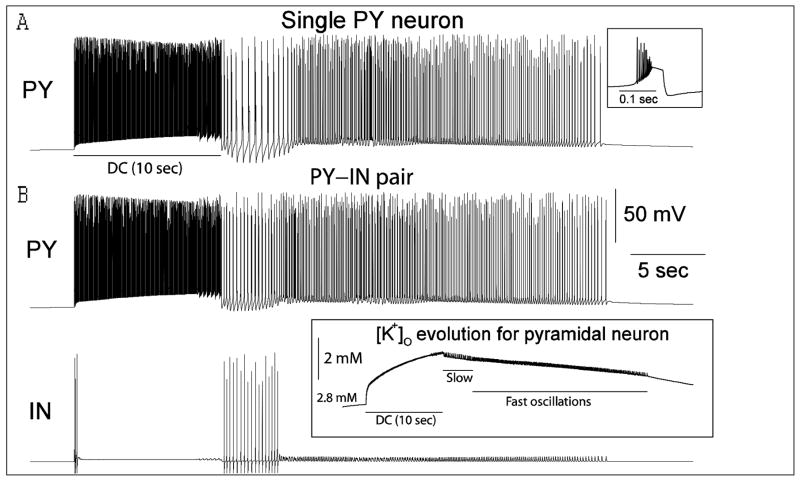 Fig. 4