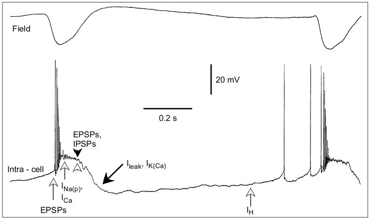 Fig. 3