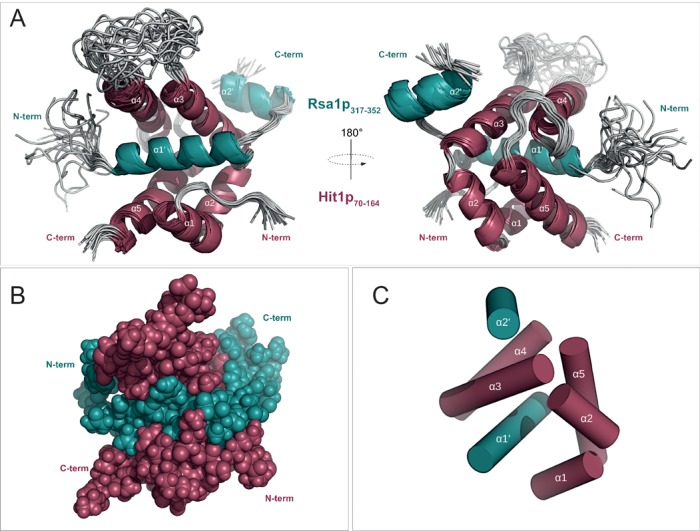 Figure 7.