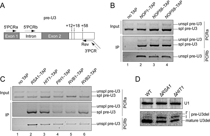 Figure 4.