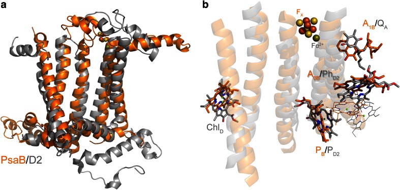 Fig. 2