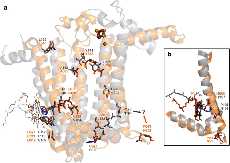 Fig. 8