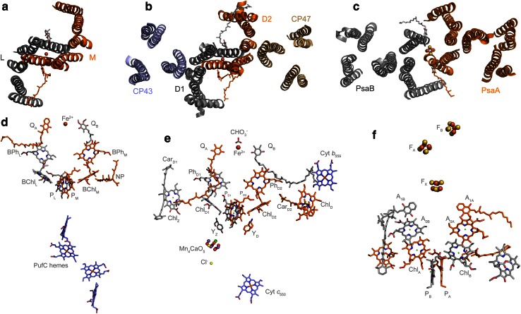 Fig. 1