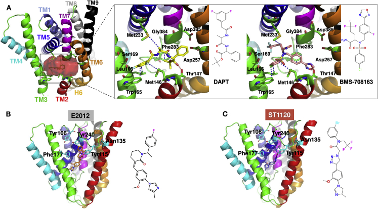 Figure 10