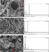 Fig. 8