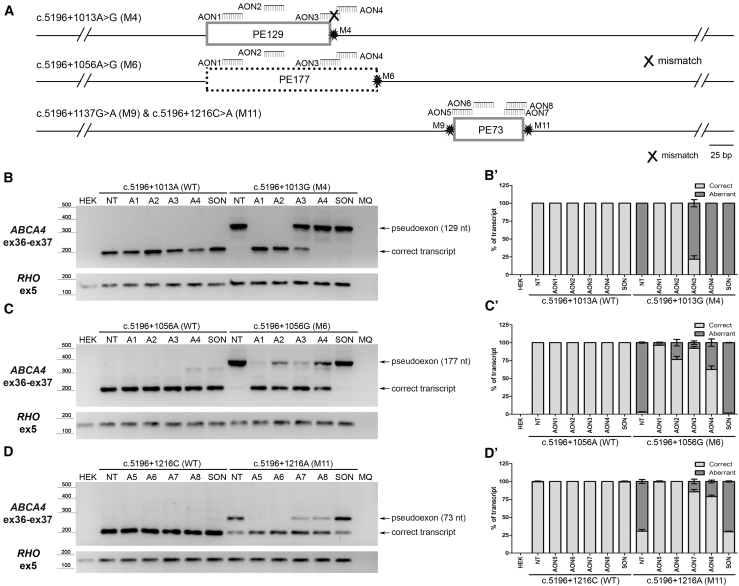 Figure 4