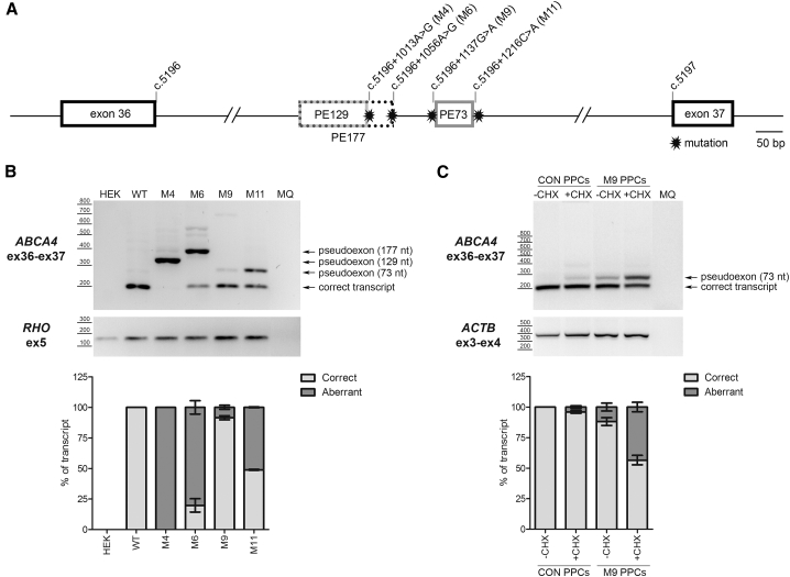 Figure 3