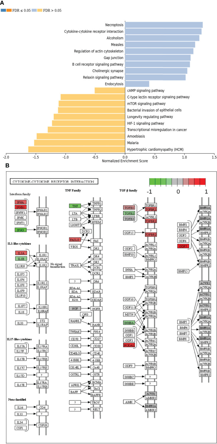 Figure 4